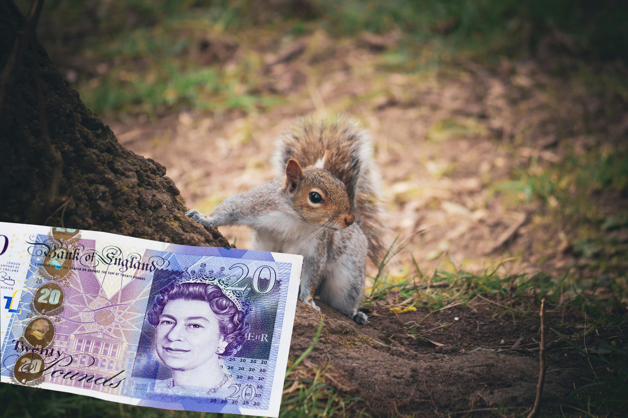 Images of nature will be on the new UK banknotes