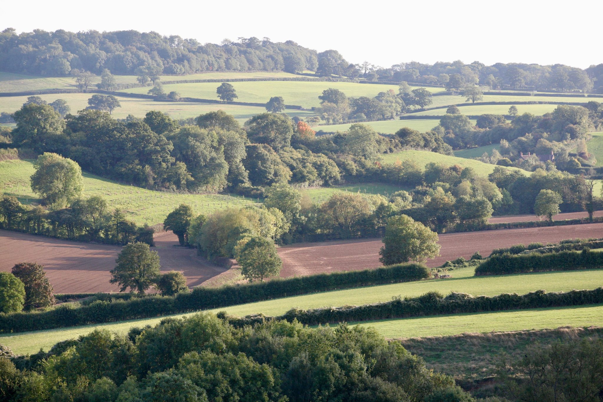 Ocado Retail and Soil Association supporting climate friendly food production