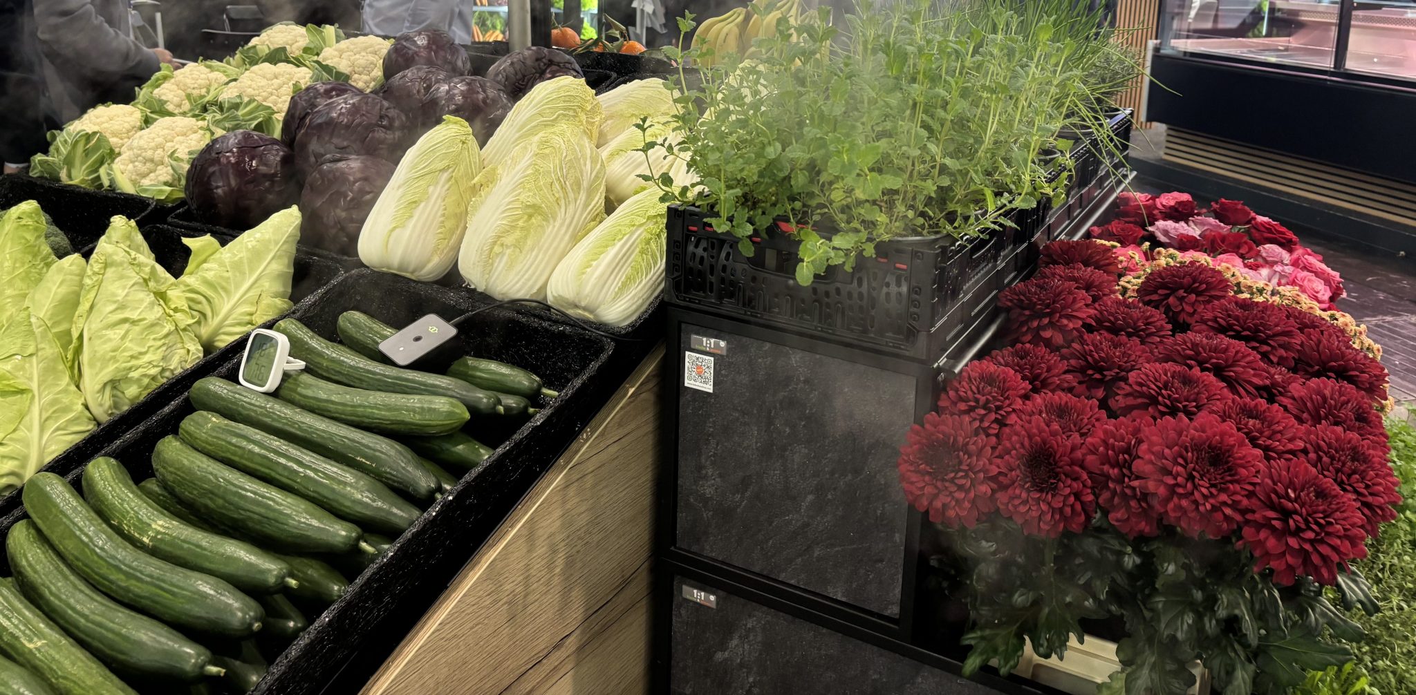 Plant-based food and drink growth at "pivotal moment"