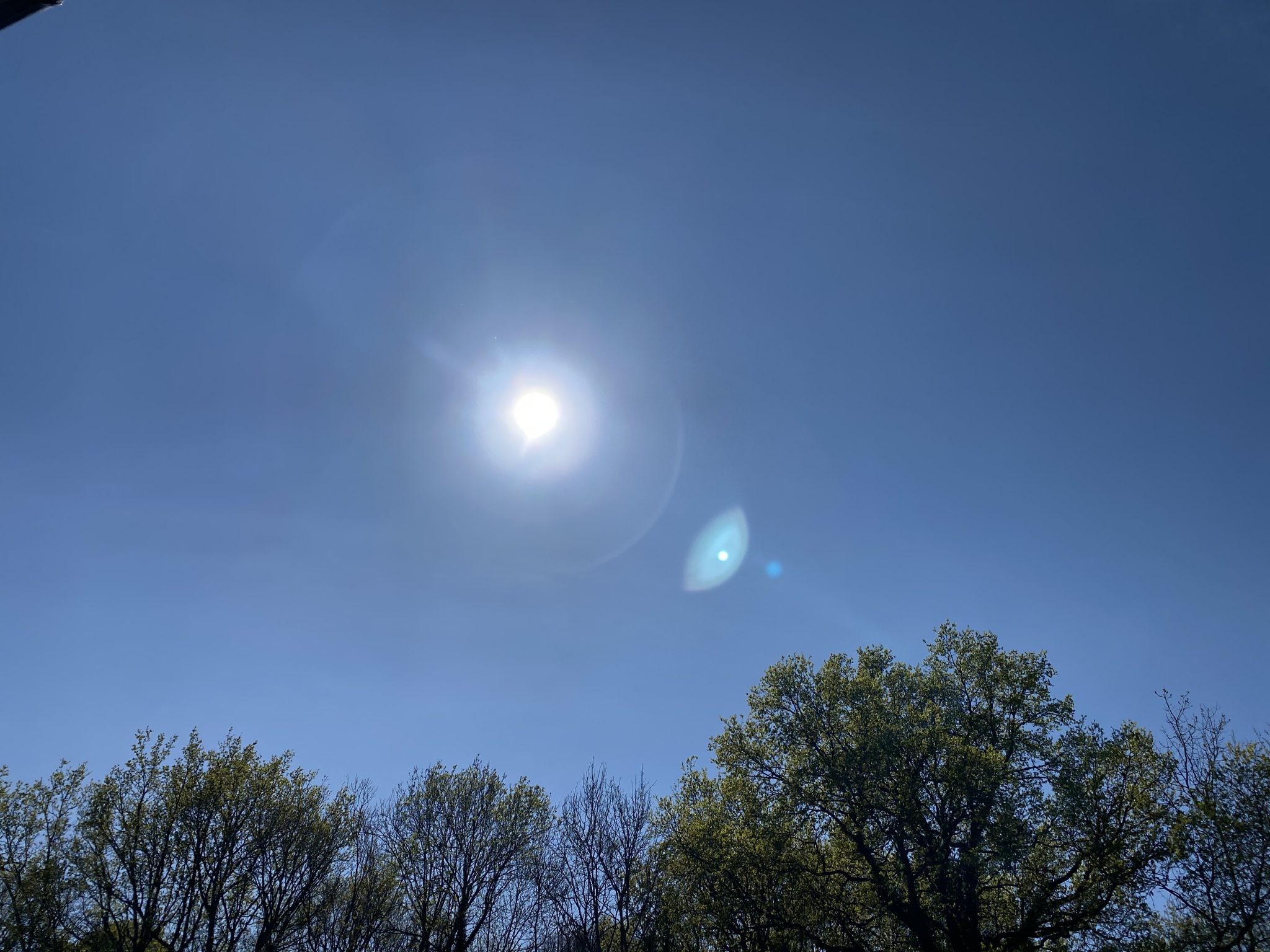 Solar panels on wareshouses are part of Prologis's ambitions to harness renewable energy