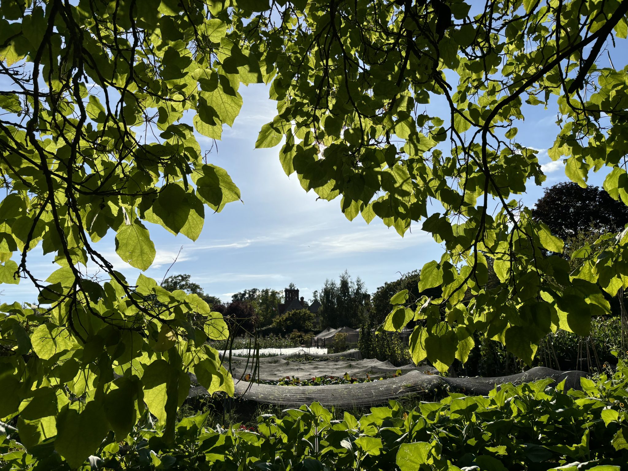 State of sustainability report suggests core resourcing challenges for the green agenda