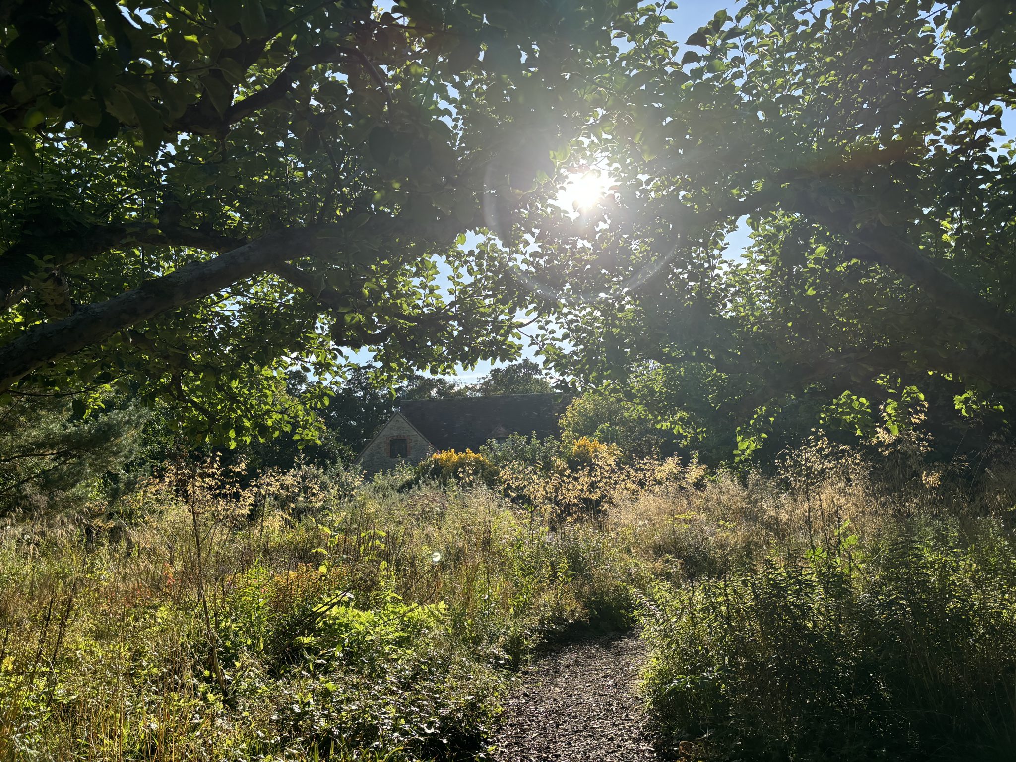 C-suite are increasingly making sustainability investments