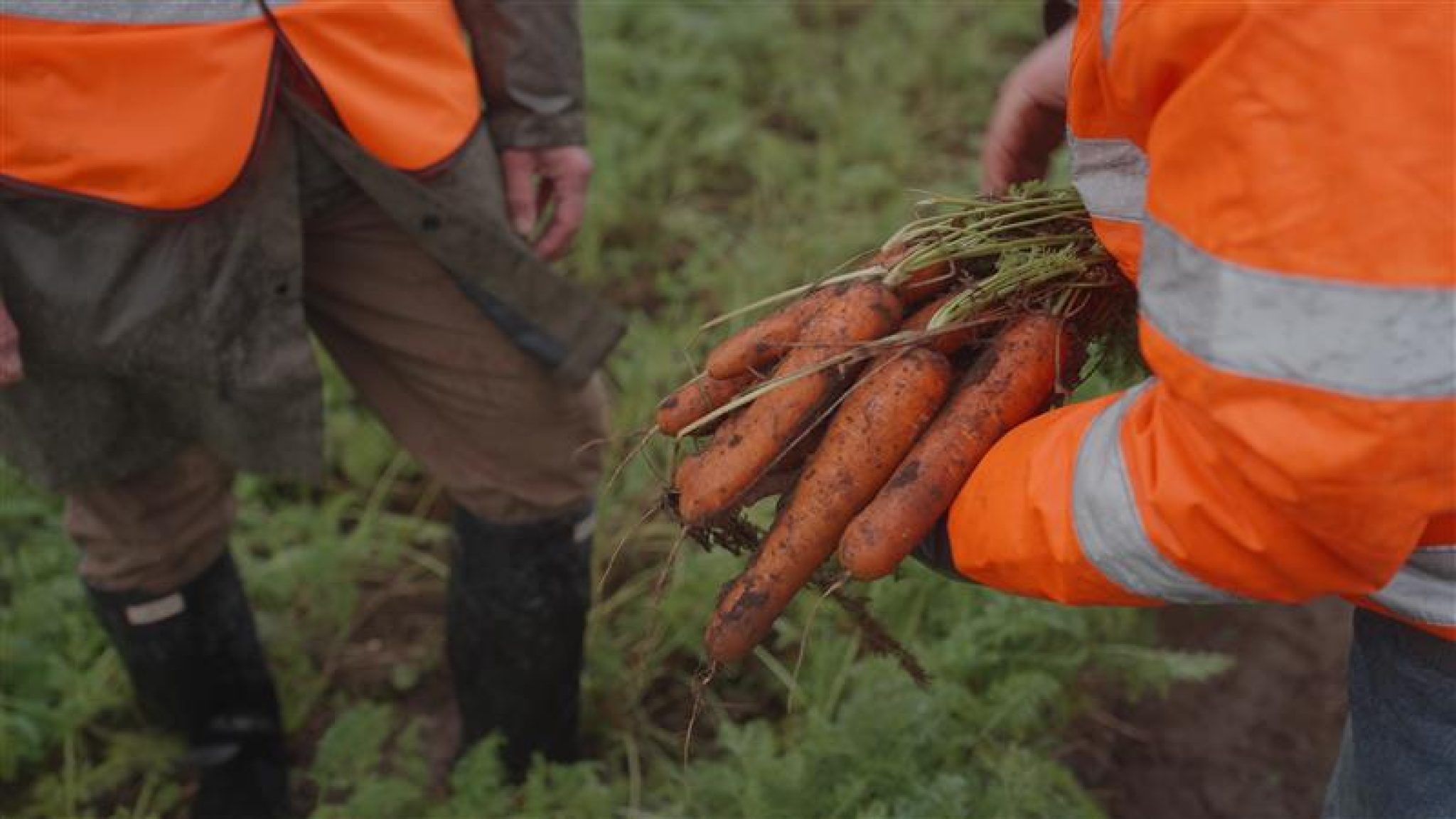 Sainsbury's is forging long-term supplier agreements