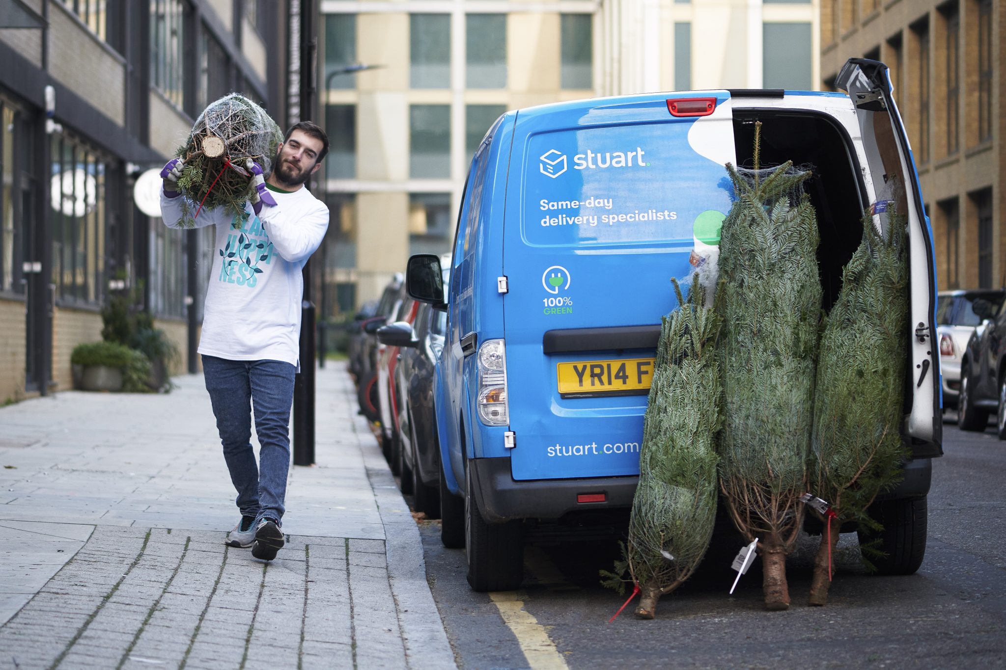 Christmas tree delivery from The Stem and Stuart